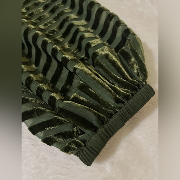 Soft Surrounding Women’s Dark Green Top with Velvet Striped Sleeve Sz M - Picture 8 of 13